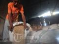 20120604_Penggiligan_Gabah_1183.jpg