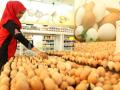 20120629_Kebutuhan_Telur_Meningkat_Jelang_Ramadhan_1041.jpg