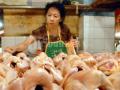 20120723_Penjual_Ayam_Potong_di_Pasar_Kebayoran_Lama_7799.jpg
