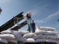 20120726_Pupuk_Urea_PT_Pupuk_Sriwijaya_8908.jpg