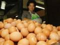 20120802_Pedagang_Telur_5935.jpg