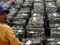 20120827_Aktivitas_Pelelangan_Ikan_Muara_Angke_7525.jpg