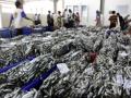 20120827_Aktivitas_Pelelangan_Ikan_Muara_Angke_8240.jpg