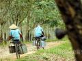 20120830_Buruh_Sadap_Karet_5085.jpg