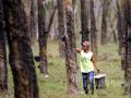 20120830_Buruh_Sadap_Karet_9723.jpg