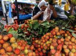 20130110_Pedagang_Rambutan_7286.jpg
