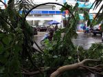 20130110_Pohon_Tumbang_Di_Jakarta_8870.jpg