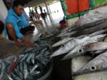 20130111_Harga_Ikan_Naik_di_Makassar__4925.jpg