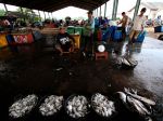 20130113_Harga_Ikan_Naik_di_Tempat_Pelelangan_Ikan_8002.jpg