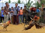 20130114_Gawai_Gedang_Suku_Talang_Mamak_3341.jpg