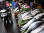 20130207_Penjualan_Ikan_Bandeng_Jelang_Imlek_2160.jpg
