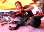 20130209_Penjual_Daging_Anjing_di_Pasar_Ekstrim_Tomohon_3847.jpg