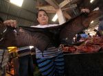 20130209_Penjual_Paniki_di_Pasar_Ekstrim_Tomohon_2710.jpg