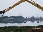 20130216_Normalisasi_Waduk_Pluit_1496.jpg