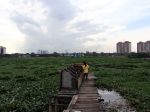 20130223_Danau_Riario_Dipenuhi_Eceng_Gondok_1552.jpg