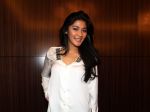 20130304_Naysila_Mirdad_6319.jpg