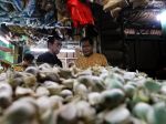 20130318_Rizal_Ramli_Pantau_Harga_Bawang_1776.jpg