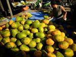 20130320_Padagang_Buah_Pepaya_5641.jpg