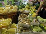 20130405_Agrinex_Expo_ke_7_1980.jpg