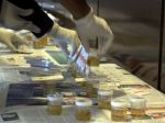 20130412_Tes_Urine_bakal_caleg_partai_Nasdem_7919.jpg