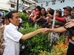 20130425_Warga_Berebut_Salaman_Dengan_Jokowi_6116.jpg