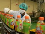 20130503_Pabrik_Minuman_Green_Tea_6324.jpg