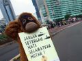 20130519_greenpeace-indonesia_2790.jpg