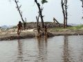 20130520_berenang-di-kubangan-waduk-pluit_1824.jpg