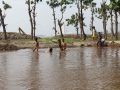 20130520_berenang-di-kubangan-waduk-pluit_2478.jpg