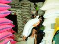 20130613_menjaga-harga-bahan-pangan_8116.jpg