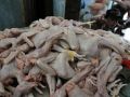 20130704_jelang-ramadhan-harga-daging-ayam-merangkak-naik_8626.jpg