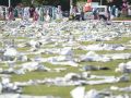 20130808_suasana-shalat-idul-fitri-di-balikpapan_1025.jpg