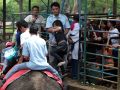 20130811_libur-lebaran-di-kebun-binatang-bandung_9383.jpg