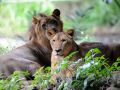 20130813_bermacam-satwa-di-taman-margasatwa-ragunan_5107.jpg