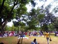 20130813_wisatawan-padati-taman-margasatwa-ragunan_6503.jpg