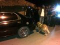 20130817_anjing-pelacak-polri_4233.jpg