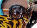 20130819_bidan-honorer-tuntut-jadi-pns_5035.jpg