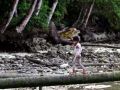 20130826_anak-pantai-biak_2979.jpg
