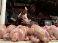 20130924_harga-daging-ayam_4733.jpg