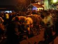 20131105_kirab-satu-suro-2013_4099.jpg