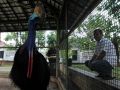 20131107_empat-burung-di-rumdin-gubenur-jateng-diserahkan-bksda_1766.jpg