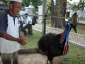 20131107_empat-burung-di-rumdin-gubenur-jateng-diserahkan-bksda_7242.jpg