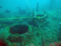 20131121_penemuan-kapal-selam-u-boat-milik-nazi-jerman_7448.jpg