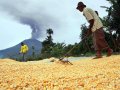 20131127_aktifitas-warga-di-kaki-gunung-sinabung_7518.jpg