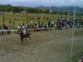 20131210_124709_maco-kuda-cepat.jpg