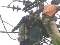 20131223_142716_pegawai-pln1.jpg