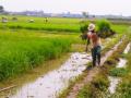 20131223_173222_masa-tanam-benih-padi-petani-sawah.jpg