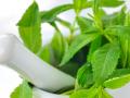 20131225_164406_daun-mint.jpg
