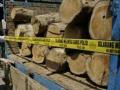 20131226_193029_truk_bermuatan_kayu-_-ilegal.jpg