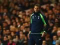 20140102_054003_tim-sherwood-liatinapaantuuuhhh.jpg